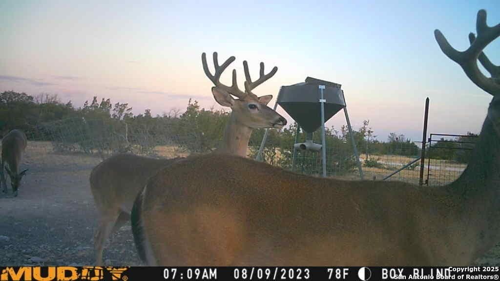 77.24 acres in Edwards County - photo 8
