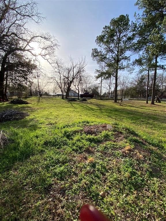 1.23 acres in Dallas County - photo 5