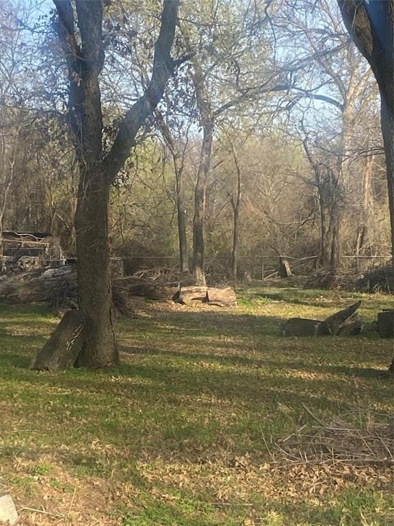 1.23 acres in Dallas County - photo 2