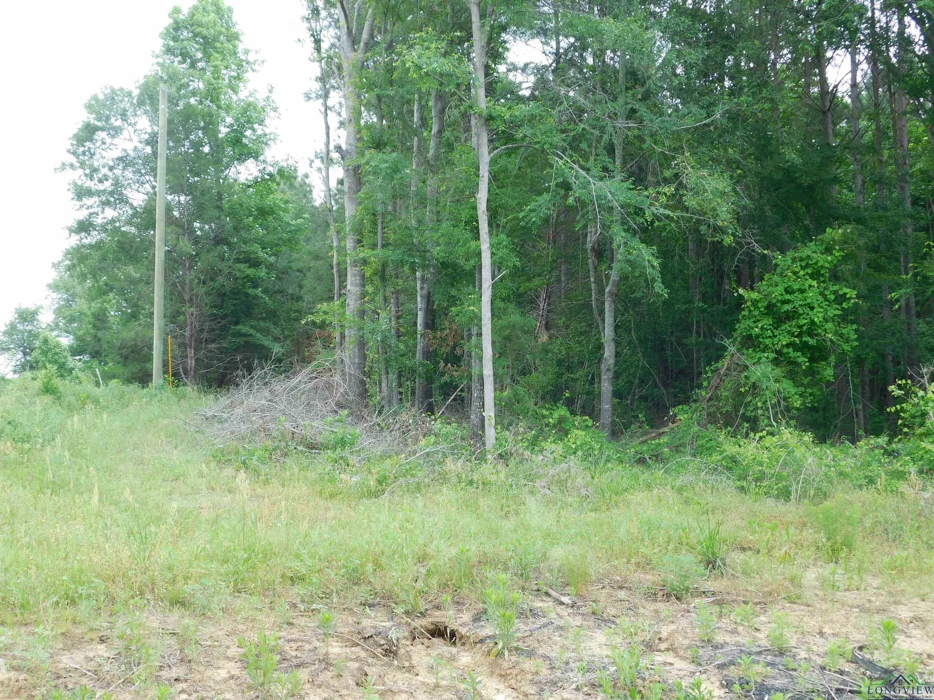 0.71 acres in Texas County - photo 2
