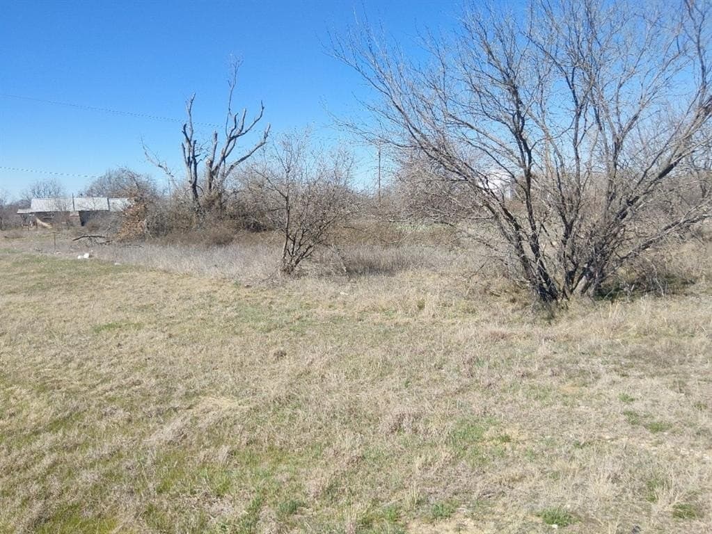 6 acres in Eastland County - photo 6