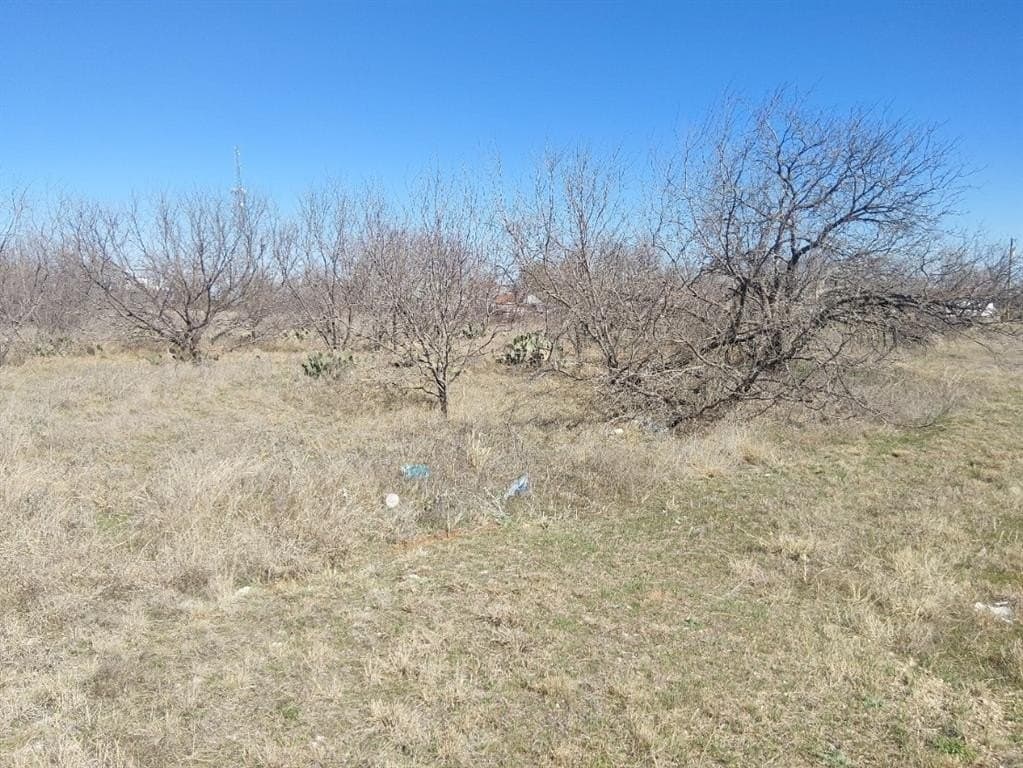 6 acres in Eastland County - photo 7