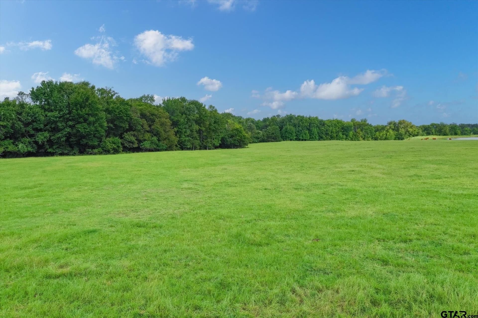 100 acres in Van Zandt County - photo 25