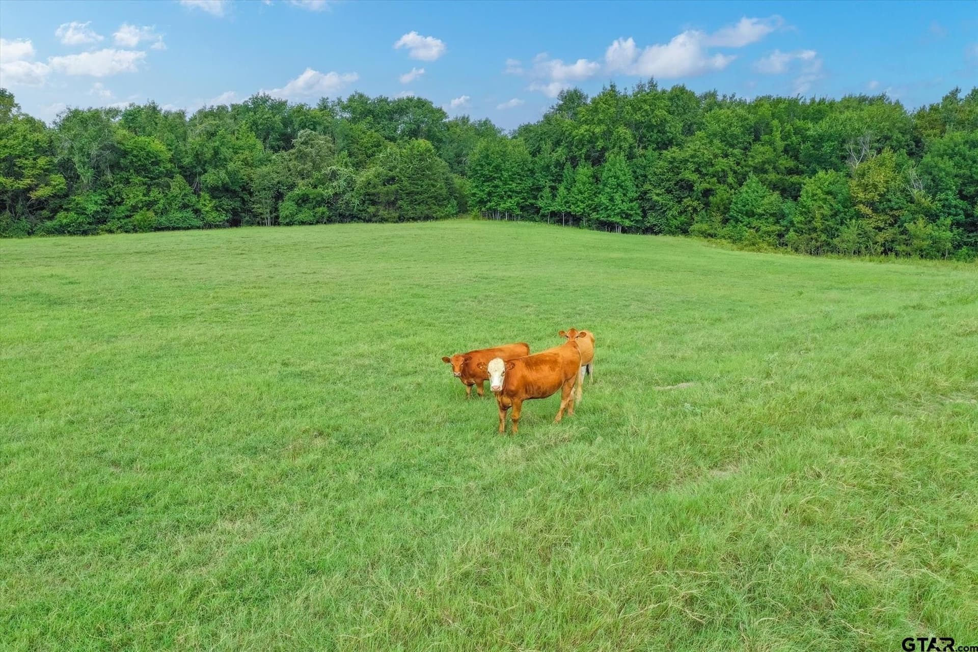 100 acres in Van Zandt County - photo 24