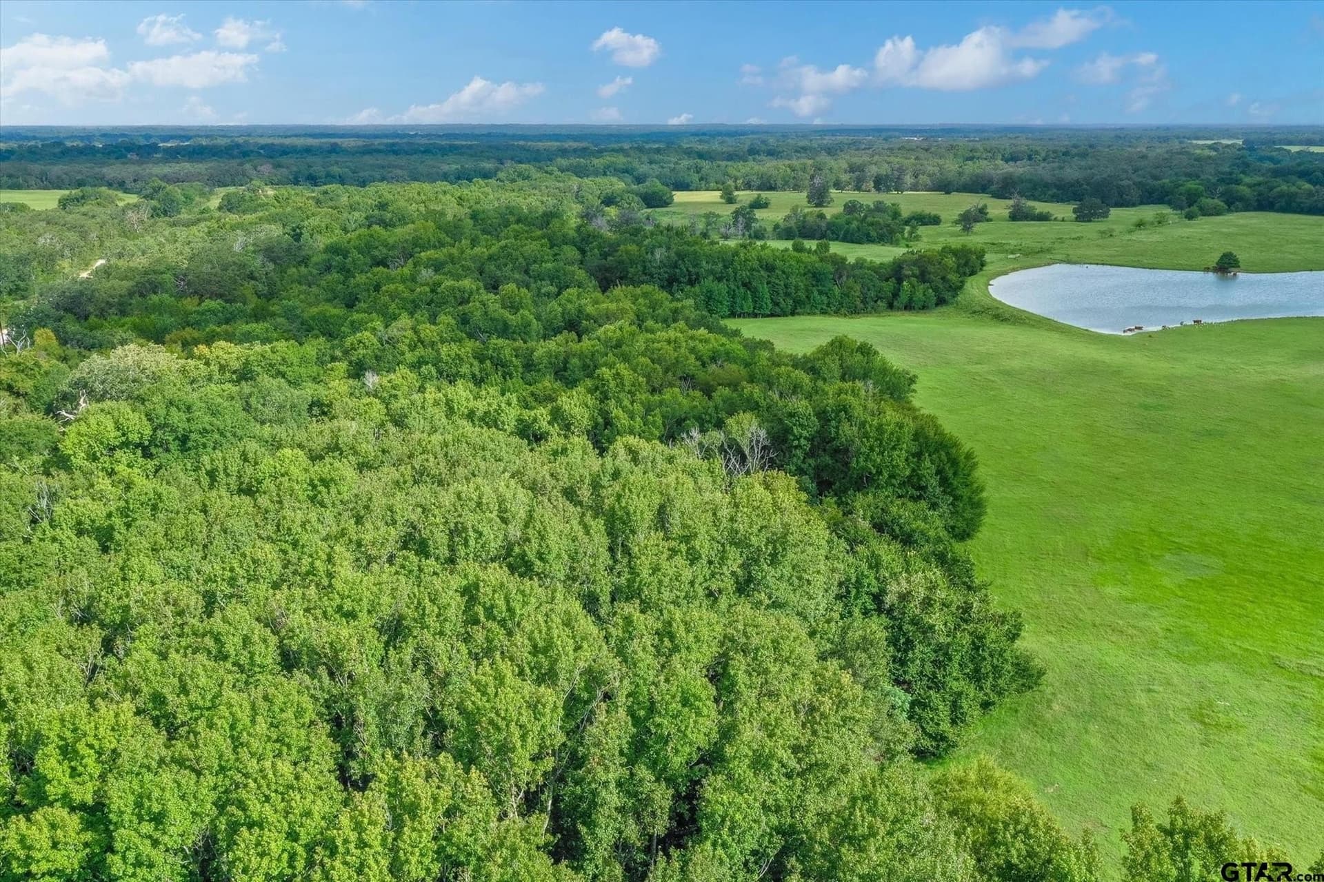 100 acres in Van Zandt County - photo 8