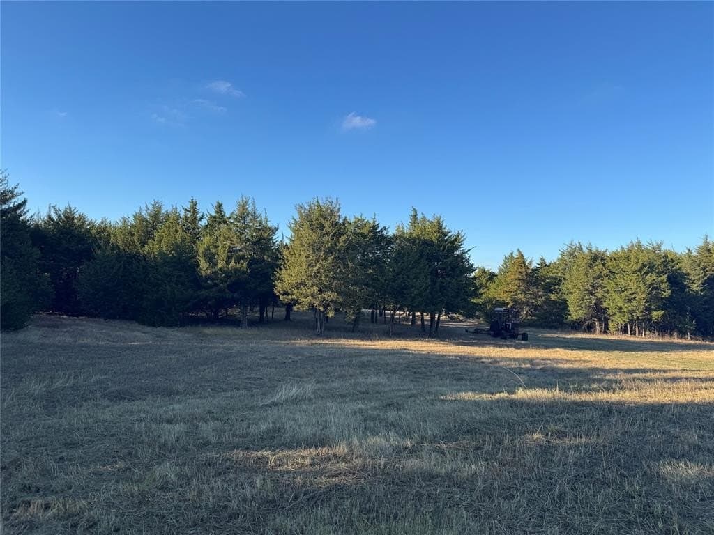 37.5 acres in Lamar County - photo 3