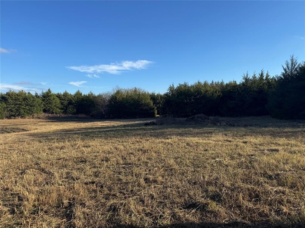 37.5 acres in Lamar County - photo 2