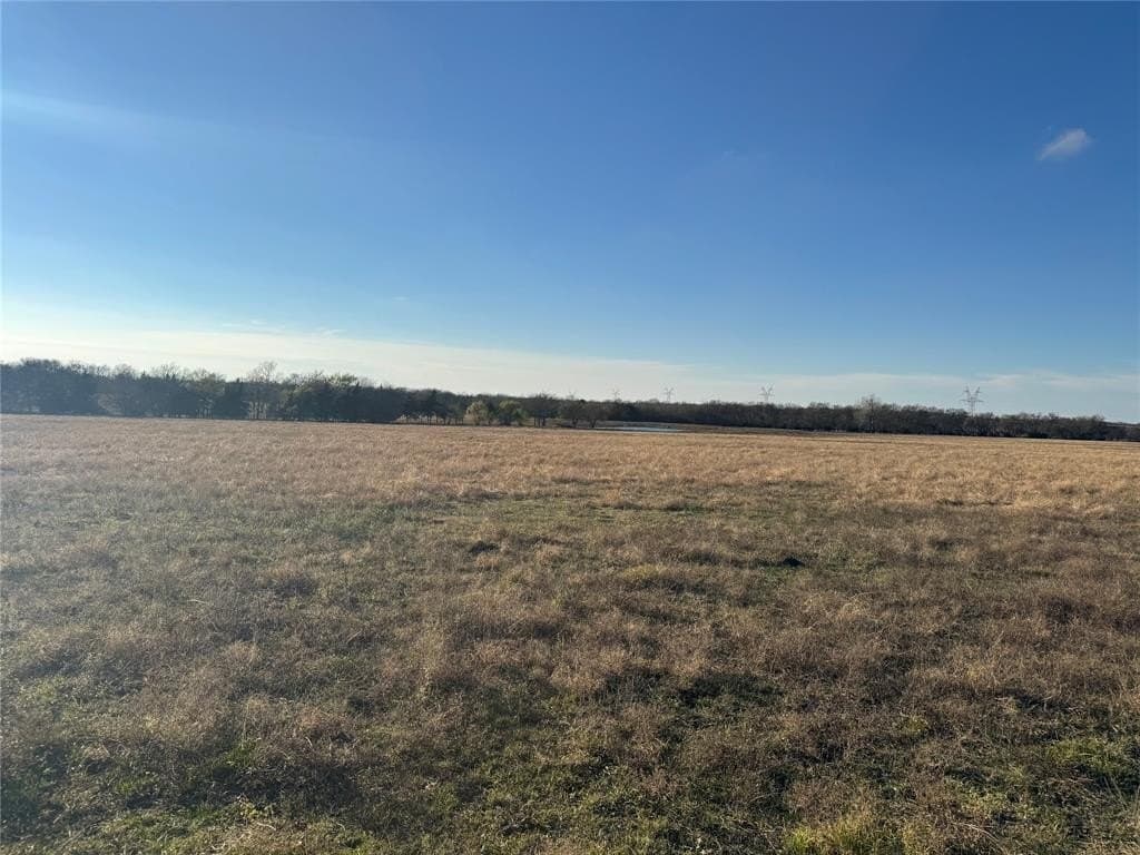 37.5 acres in Lamar County - photo 7