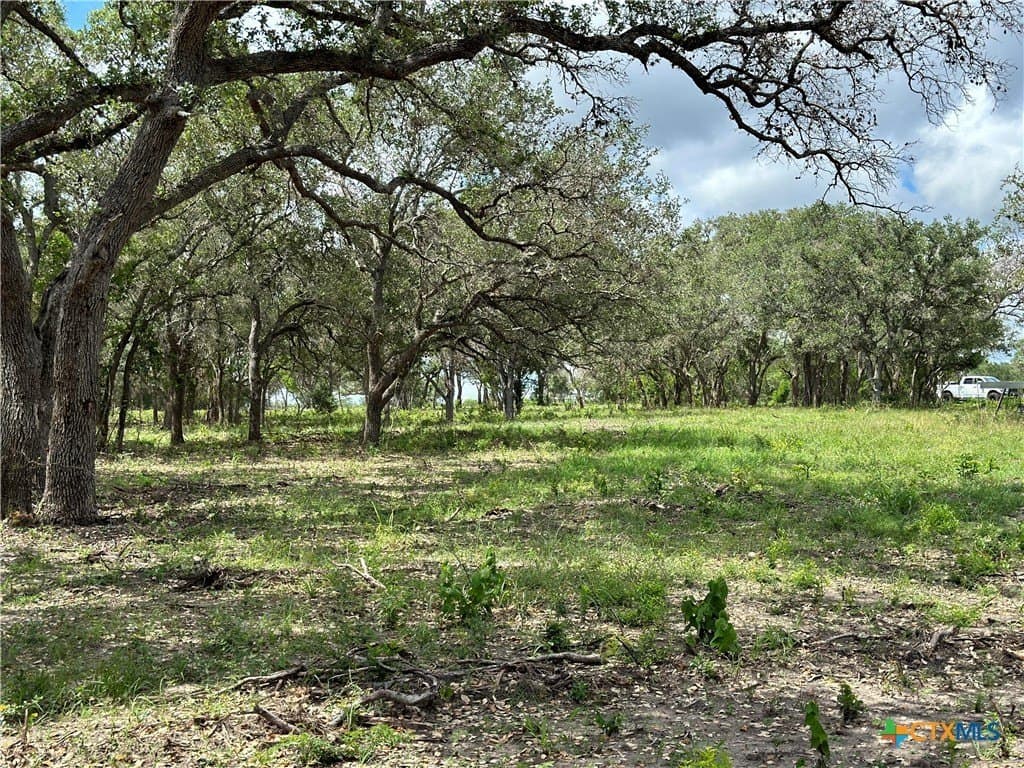 16.36 acres in Goliad County - photo 2