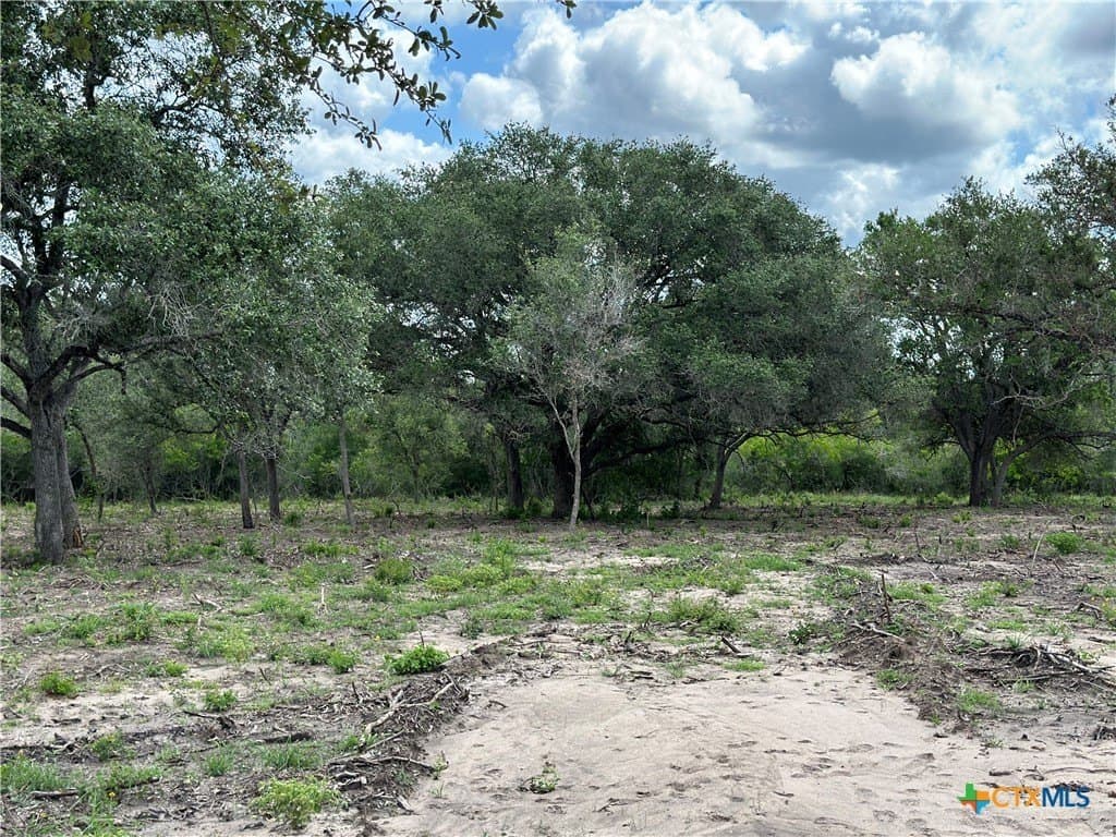 16.36 acres in Goliad County - photo 4