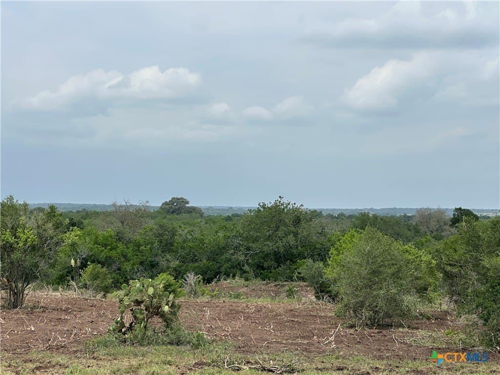 16.36 acres in Goliad County - photo 10