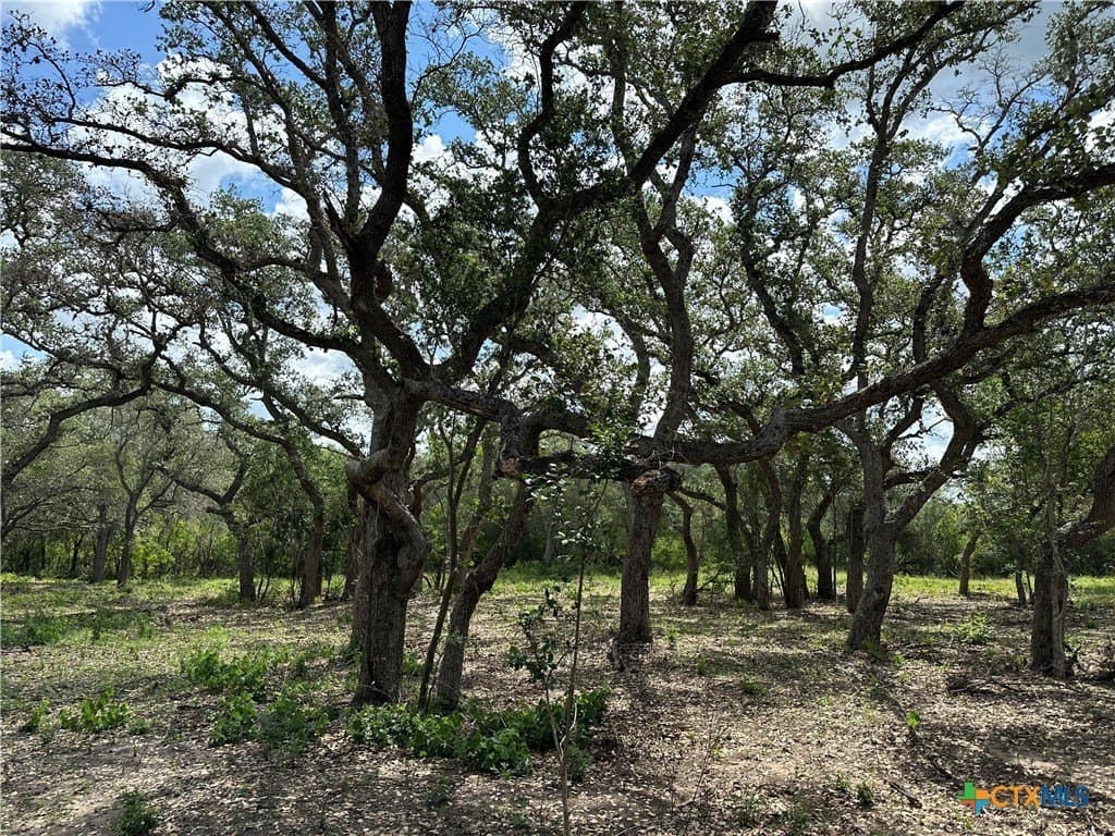 16.36 acres in Goliad County - photo 7