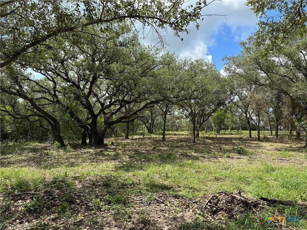 16.36 acres in Goliad County - photo 6