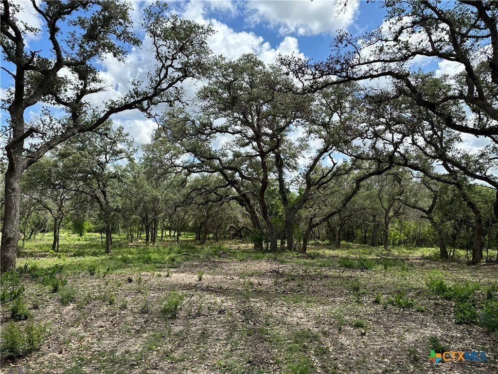 16.36 acres in Goliad County - photo 3