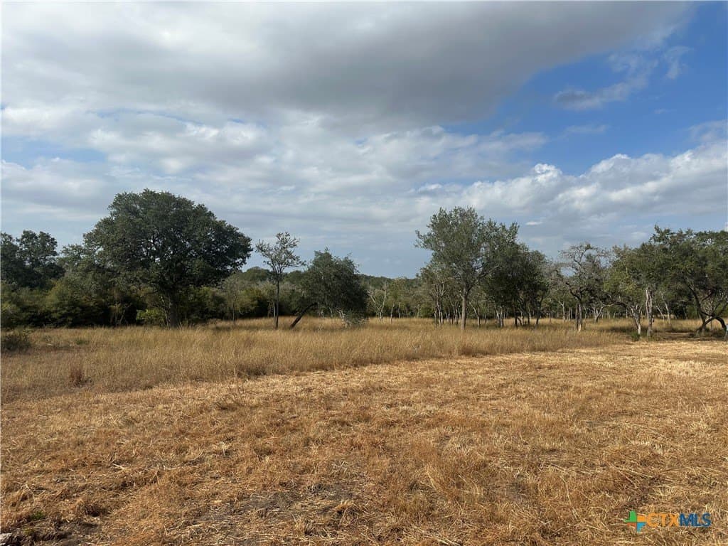 16.36 acres in Goliad County - photo 13