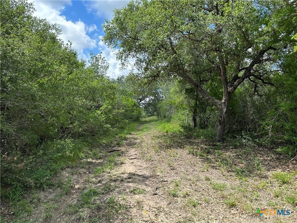 16.36 acres in Goliad County - photo 5