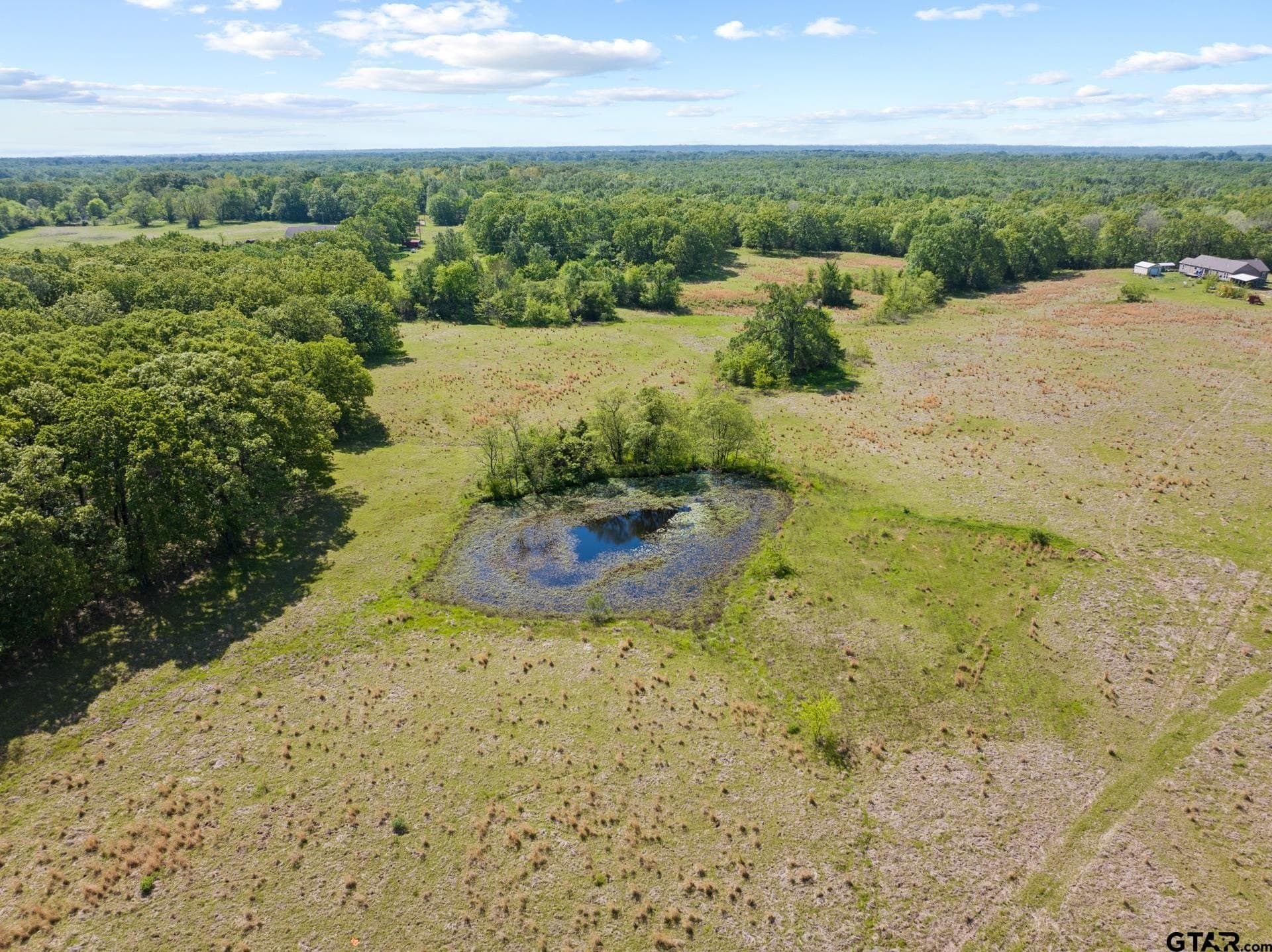 107.08 acres in Titus County - photo 15