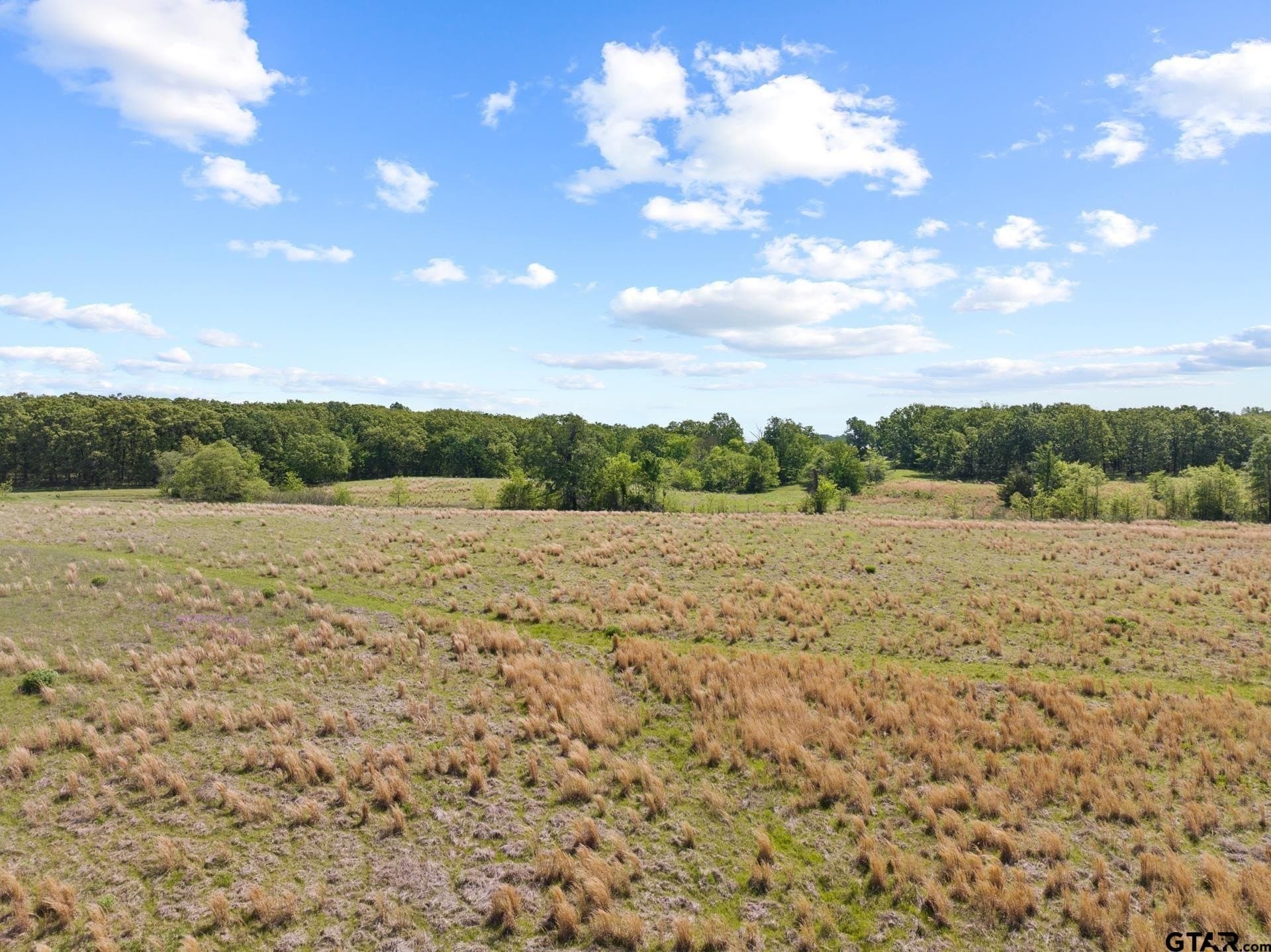 107.08 acres in Titus County - photo 16