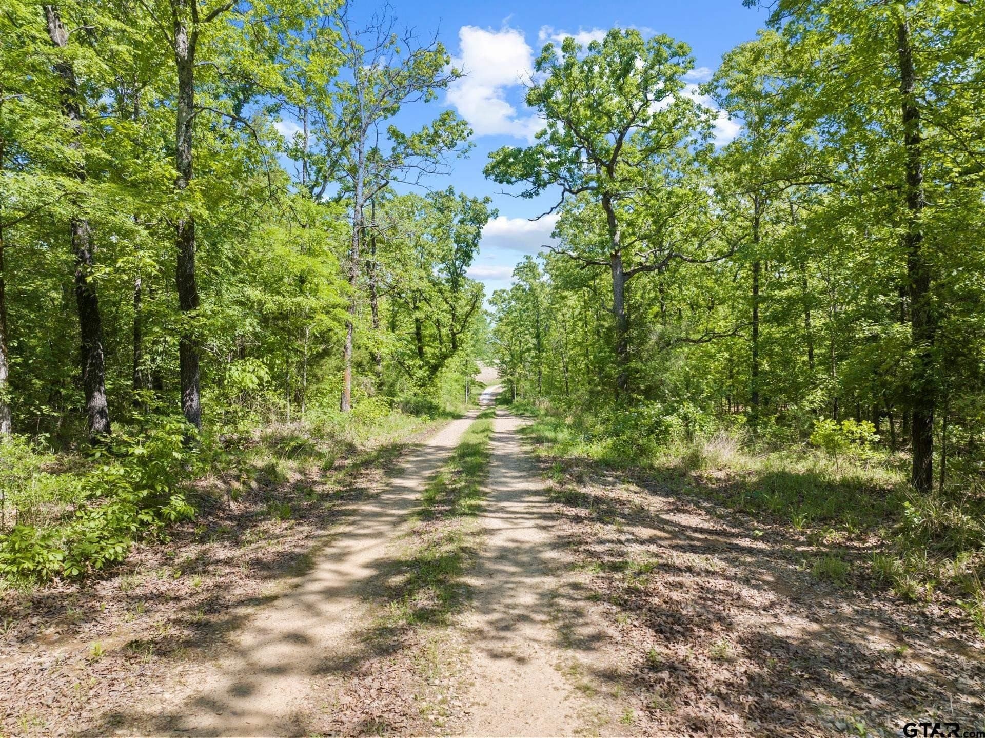 107.08 acres in Titus County - photo 17