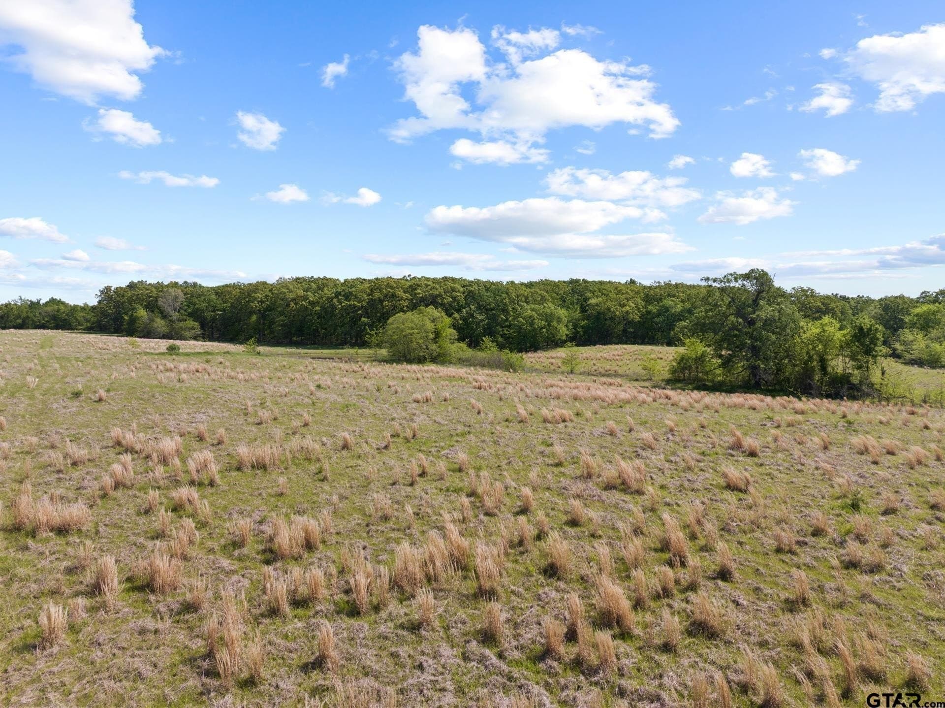 107.08 acres in Titus County - photo 21