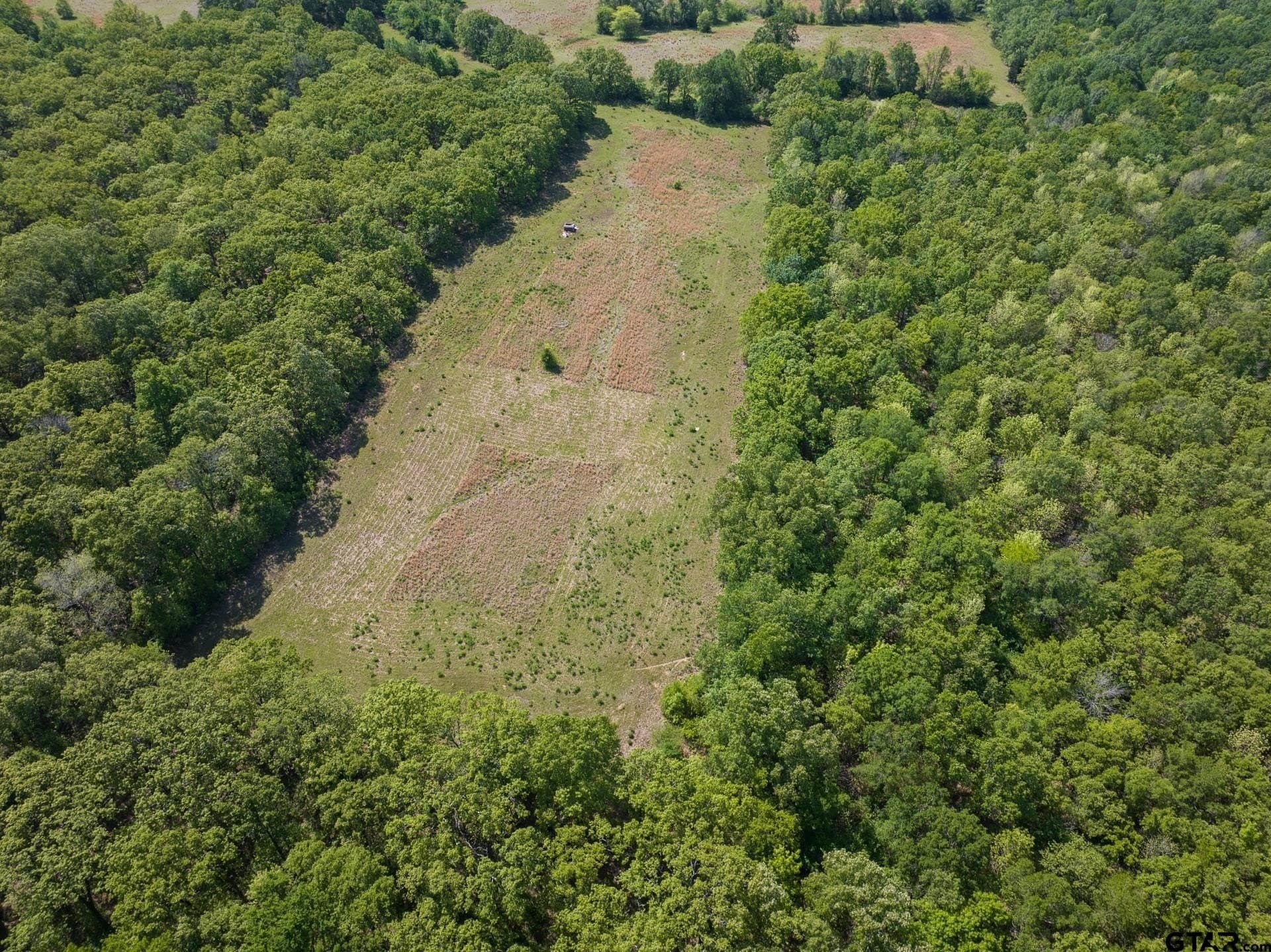 107.08 acres in Titus County - photo 18