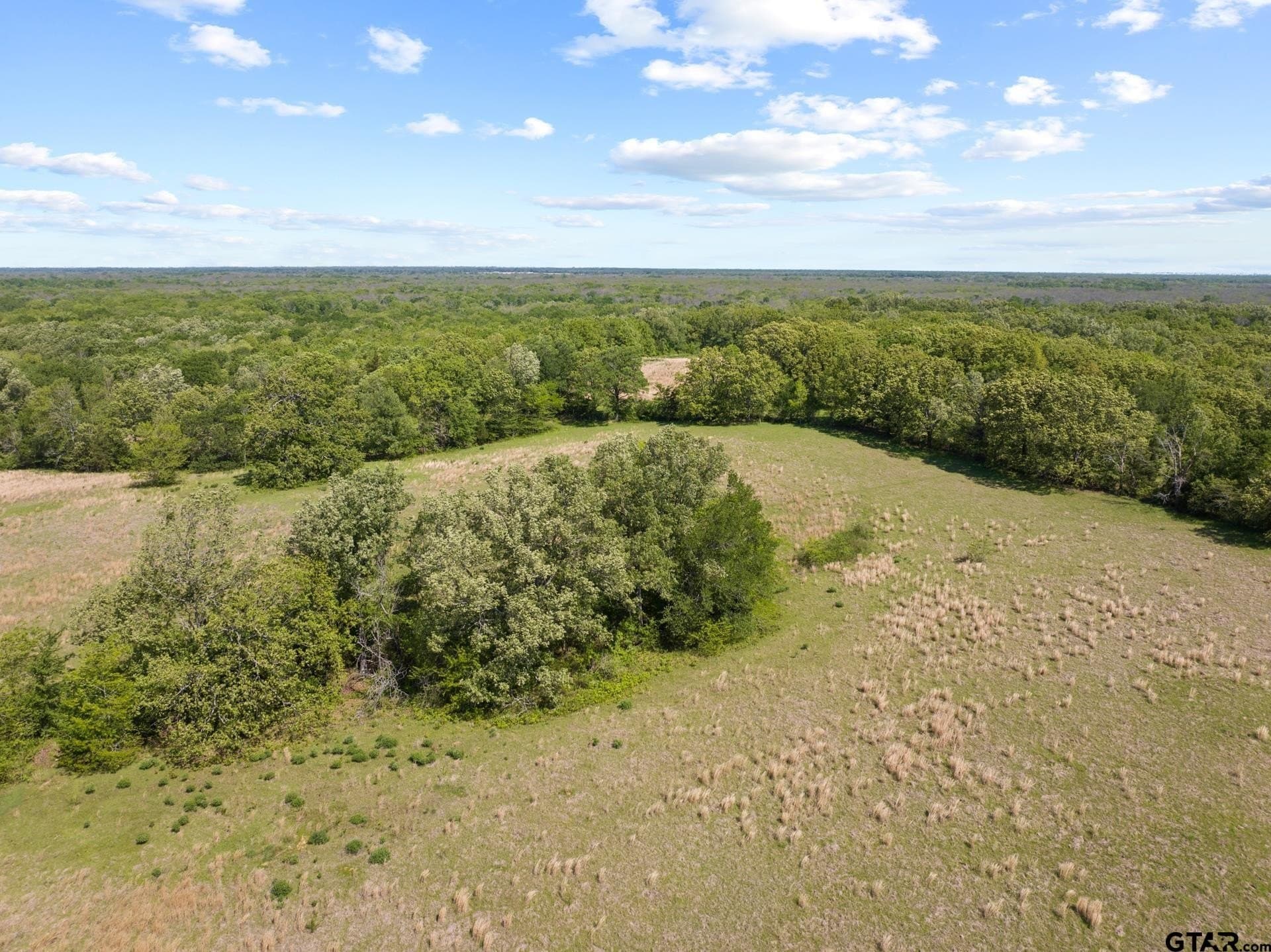 107.08 acres in Titus County - photo 20