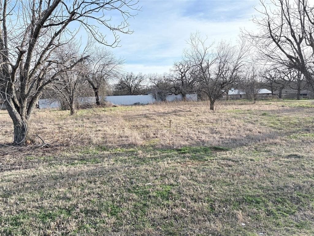 1 acres in Palo Pinto County - photo 2