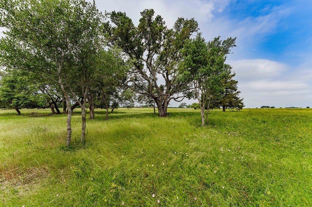 7.45 acres in Fayette County - photo 19