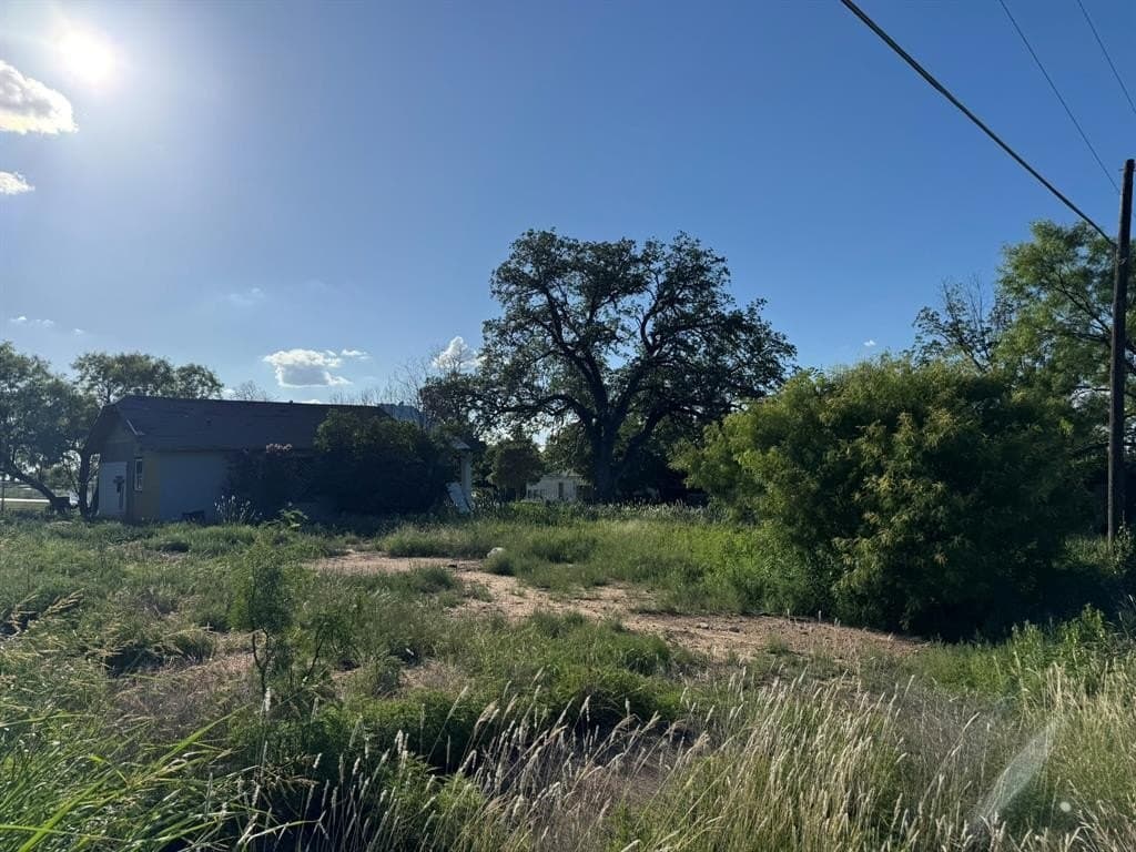 0.25 acres in McCulloch County - photo 3