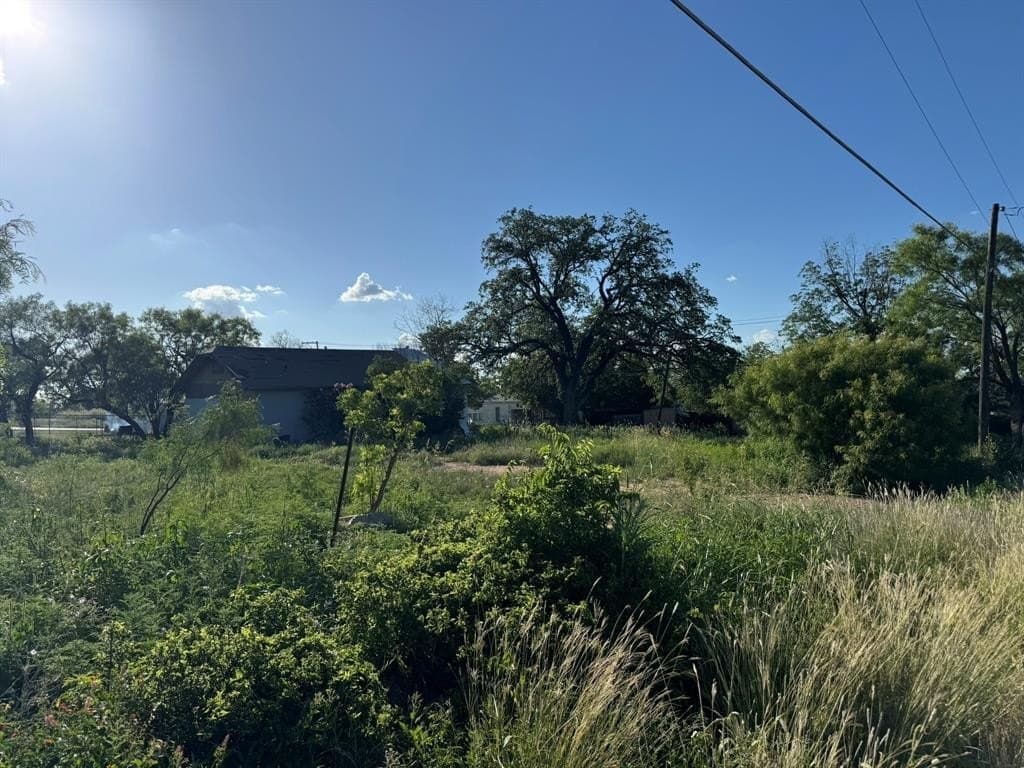 0.25 acres in McCulloch County - photo 5