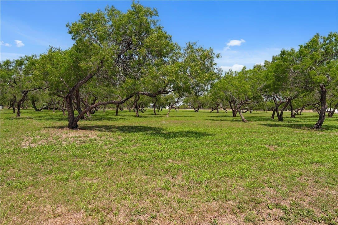 3.59 acres in Nueces County - photo 3