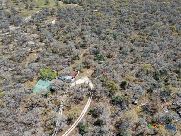 10 acres in Guadalupe County - photo 31