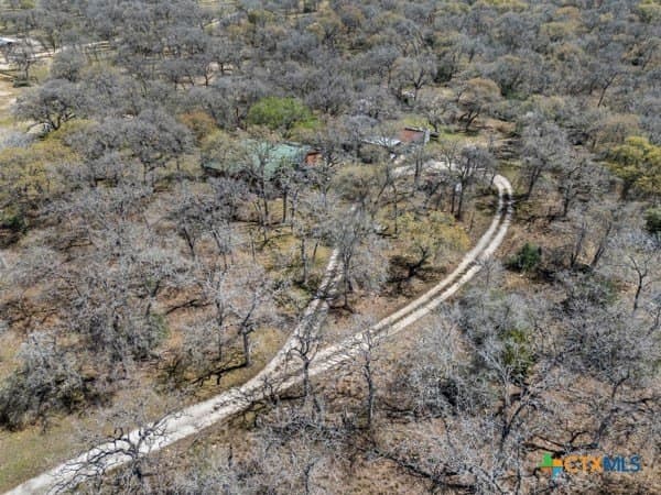10 acres in Guadalupe County - photo 30