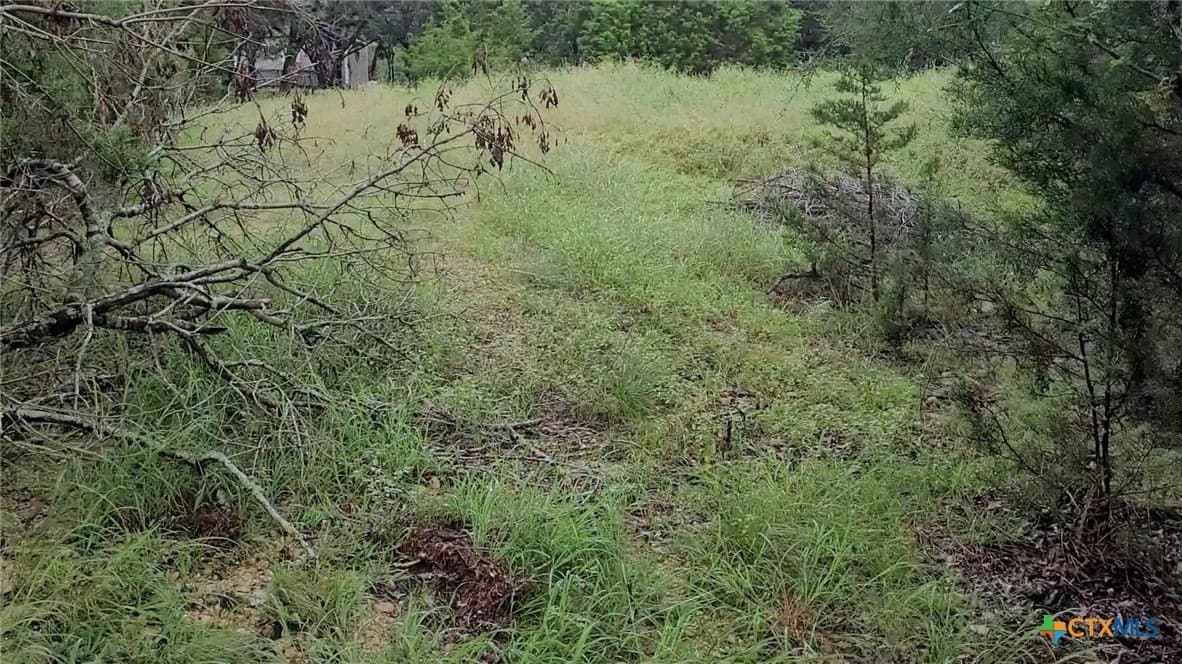 1.02 acres in Bell County - photo 3