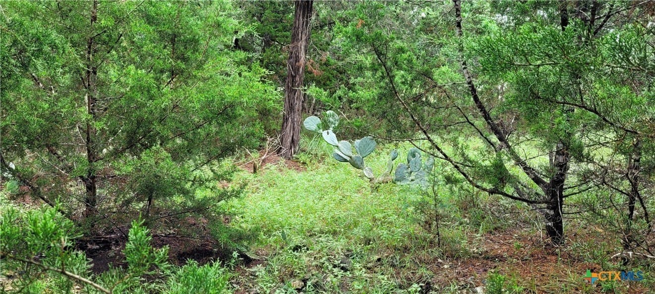 1.02 acres in Bell County - photo 4