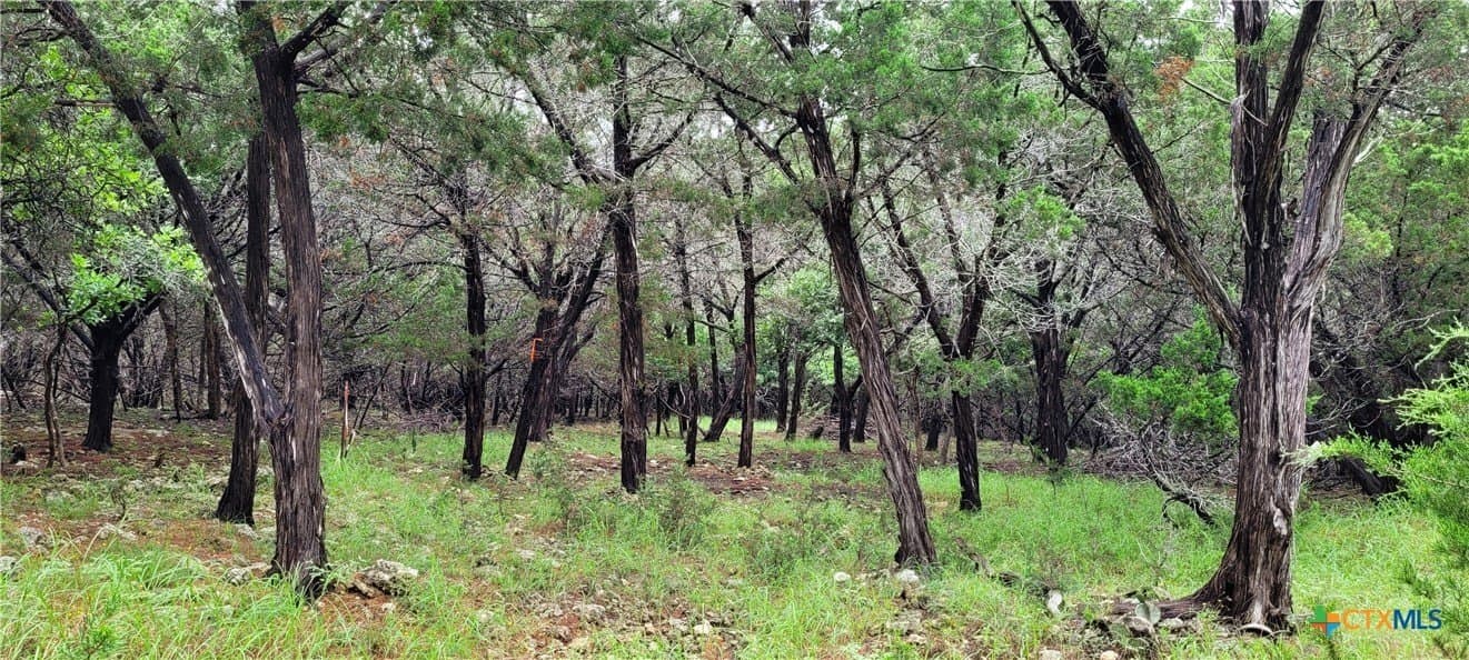 1.02 acres in Bell County - photo 2