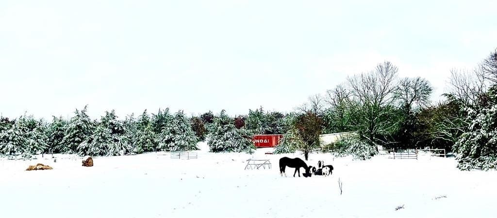 2.63 acres in Grayson County - photo 3