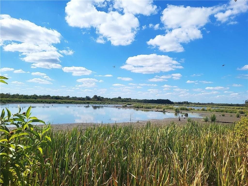 70.95 acres in Limestone County - photo 38