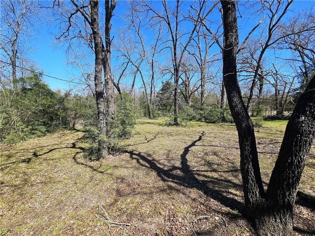 70.95 acres in Limestone County - photo 35