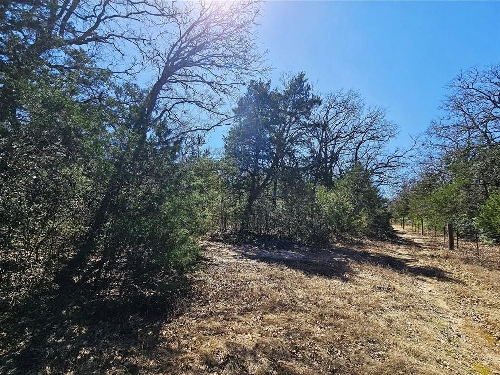 70.95 acres in Limestone County - photo 39