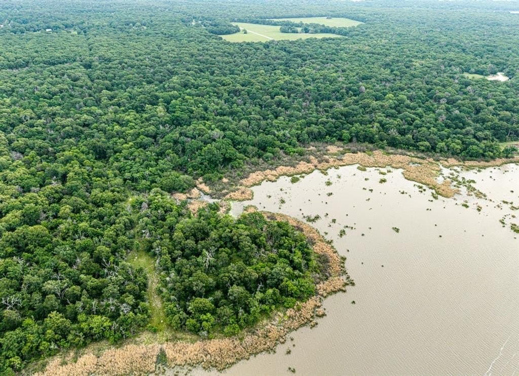 70.95 acres in Limestone County - photo 3