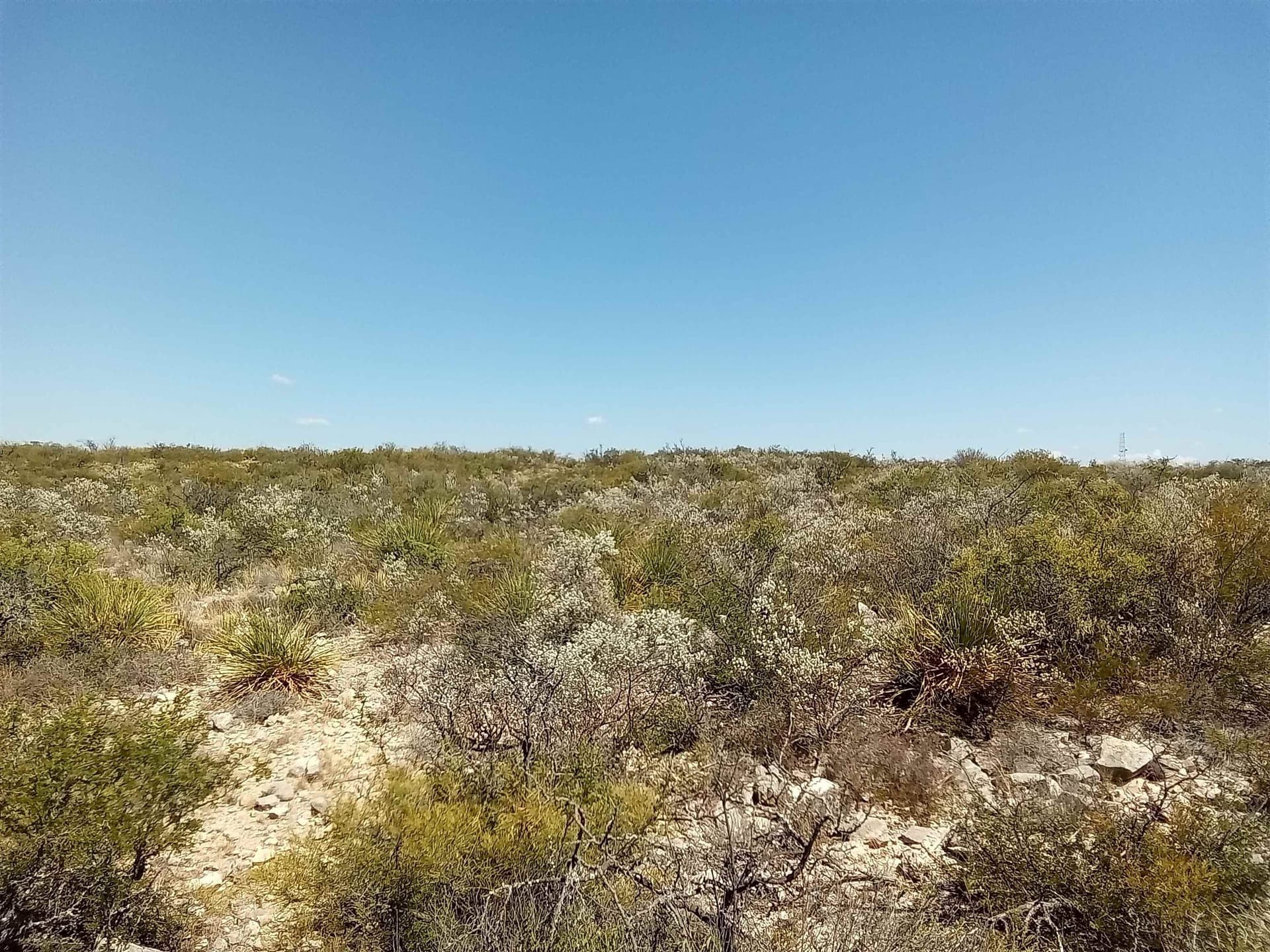 5.2 acres in Val Verde County - photo 2