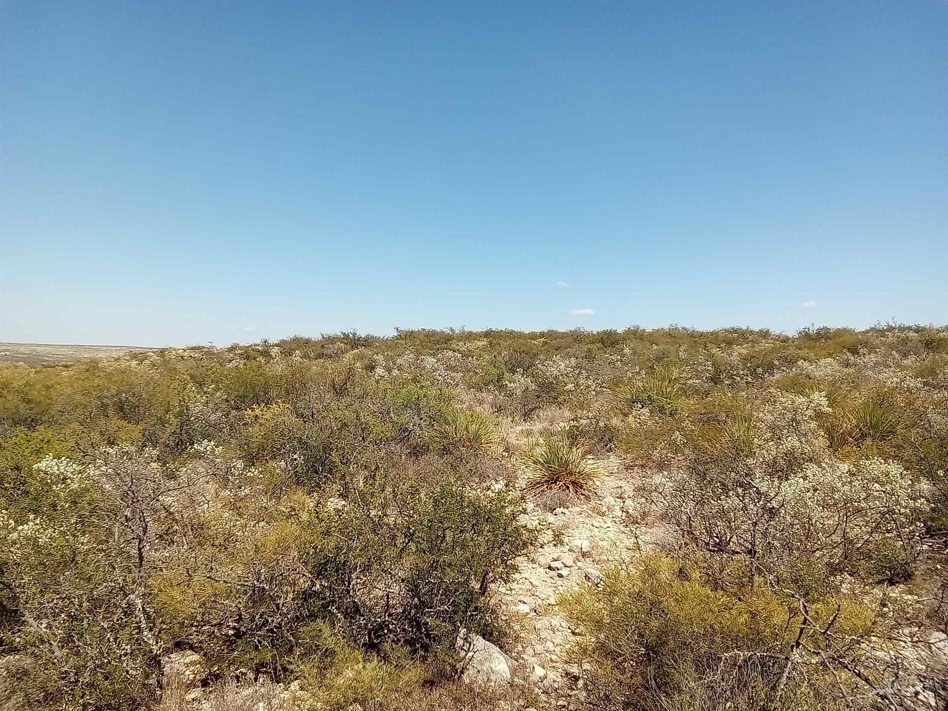5.2 acres in Val Verde County - photo 4