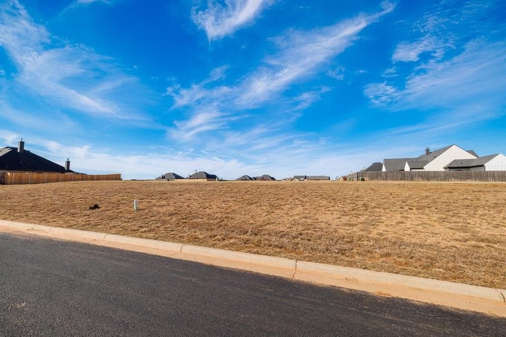0.33 acres in Taylor County - photo 3