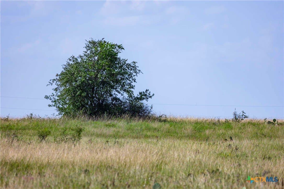 25 acres in Burnet County - photo 10
