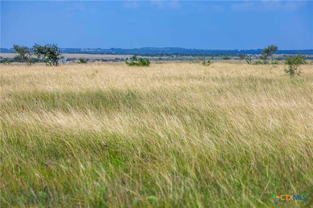 25 acres in Burnet County - photo 4