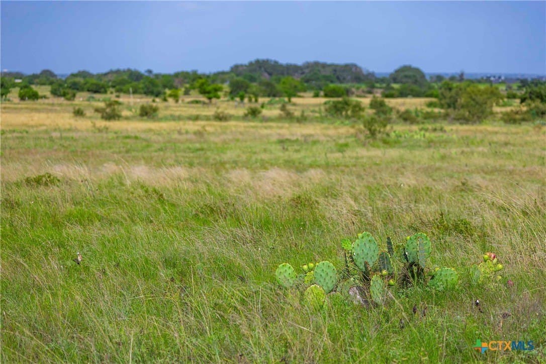 25 acres in Burnet County - photo 3