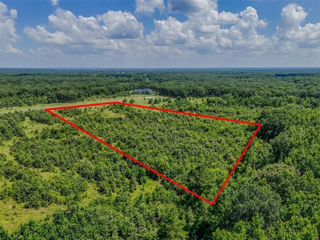 10.01 acres in Rains County - photo 9