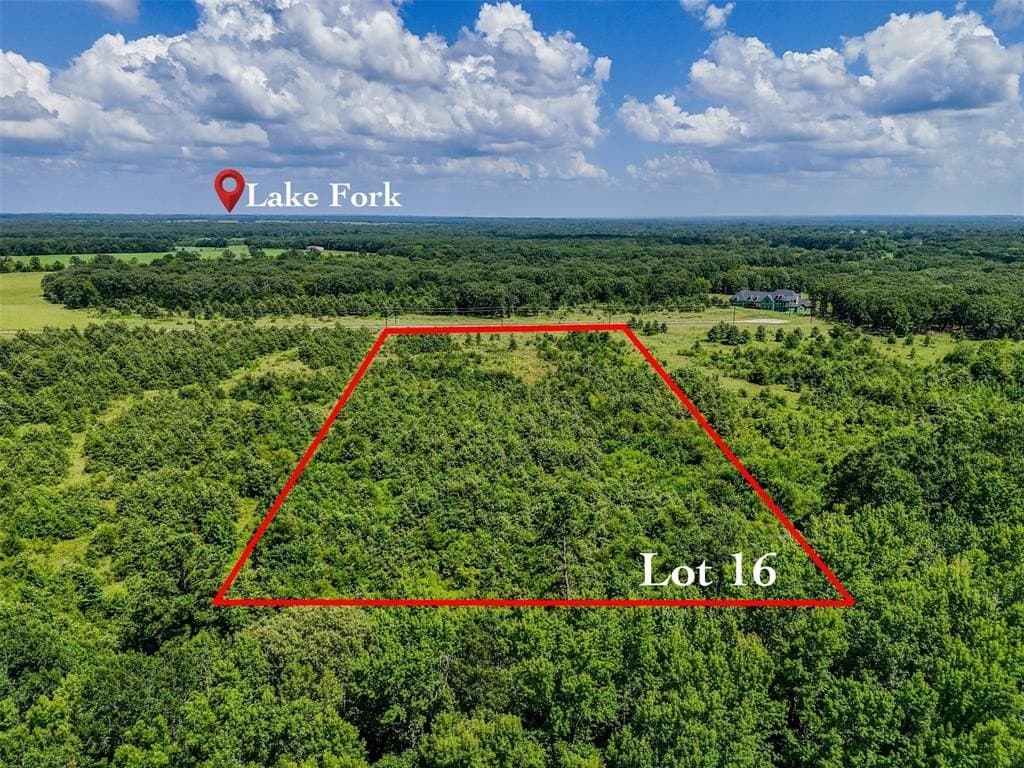 10.01 acres in Rains County - photo 10