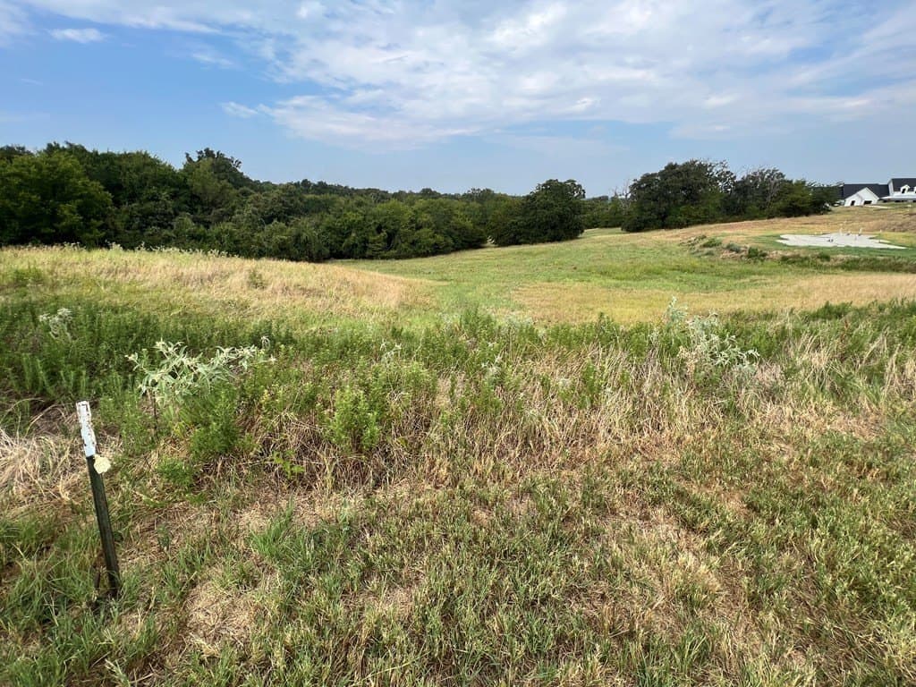 1.01 acres in Henderson County - photo 5
